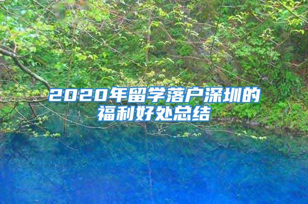 2020年留學(xué)落戶深圳的福利好處總結(jié)