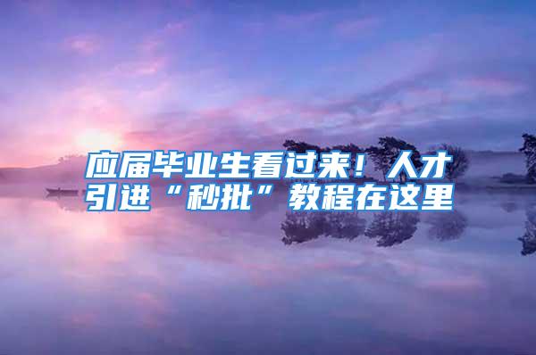 應(yīng)屆畢業(yè)生看過來！人才引進“秒批”教程在這里