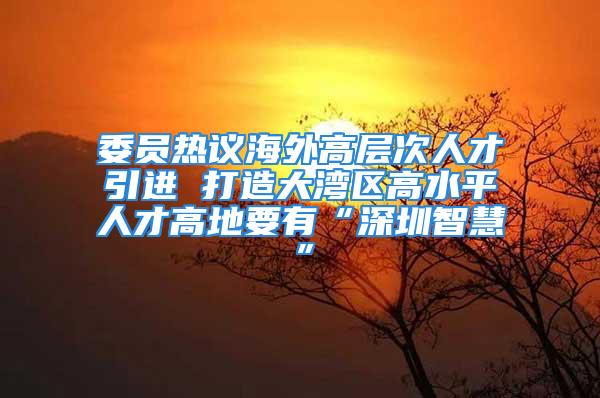 委員熱議海外高層次人才引進 打造大灣區(qū)高水平人才高地要有“深圳智慧”