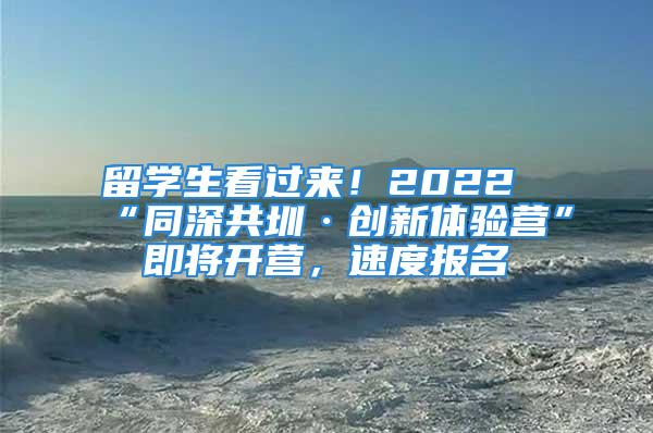 留學(xué)生看過來！2022“同深共圳·創(chuàng)新體驗營”即將開營，速度報名