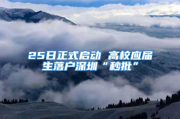 25日正式啟動 高校應屆生落戶深圳“秒批”