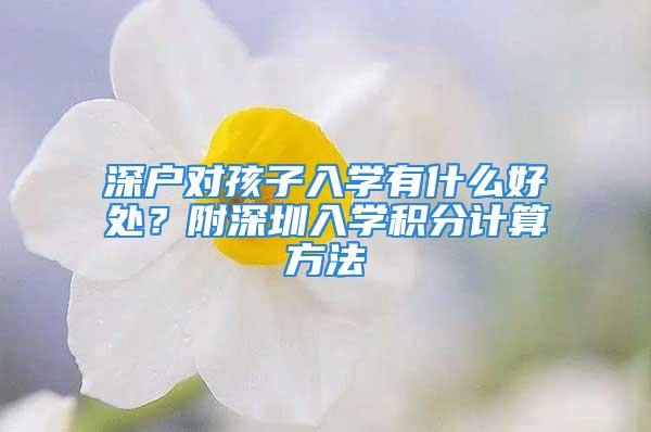 深戶對孩子入學(xué)有什么好處？附深圳入學(xué)積分計算方法