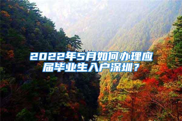 2022年5月如何辦理應(yīng)屆畢業(yè)生入戶深圳？