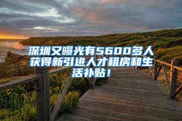 深圳又曝光有5600多人獲得新引進人才租房和生活補貼！