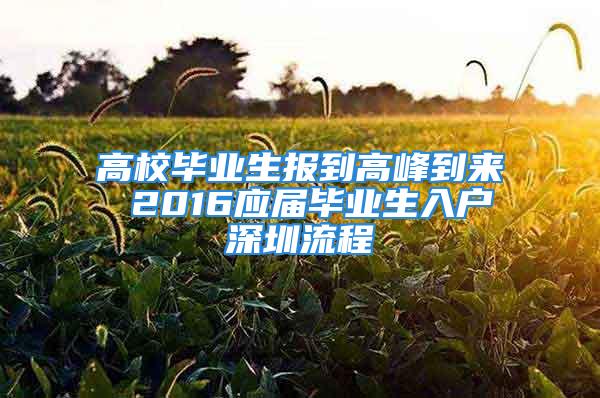 高校畢業(yè)生報到高峰到來 2016應屆畢業(yè)生入戶深圳流程