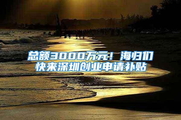 總額3000萬元！海歸們快來深圳創(chuàng)業(yè)申請補貼