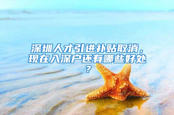 深圳人才引進(jìn)補(bǔ)貼取消，現(xiàn)在入深戶還有哪些好處？