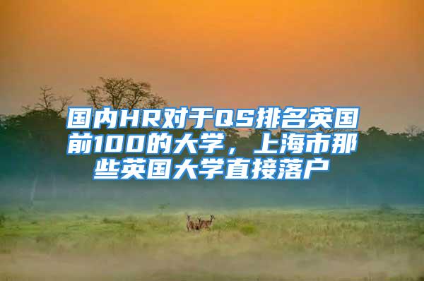 國內(nèi)HR對于QS排名英國前100的大學(xué)，上海市那些英國大學(xué)直接落戶