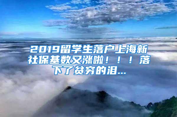 2019留學(xué)生落戶上海新社?；鶖?shù)又漲啦！！！落下了貧窮的淚...