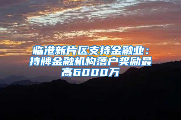 臨港新片區(qū)支持金融業(yè)：持牌金融機構(gòu)落戶獎勵最高6000萬