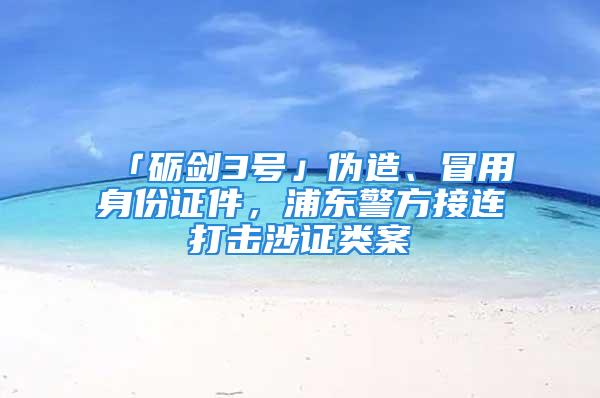 「礪劍3號」偽造、冒用身份證件，浦東警方接連打擊涉證類案