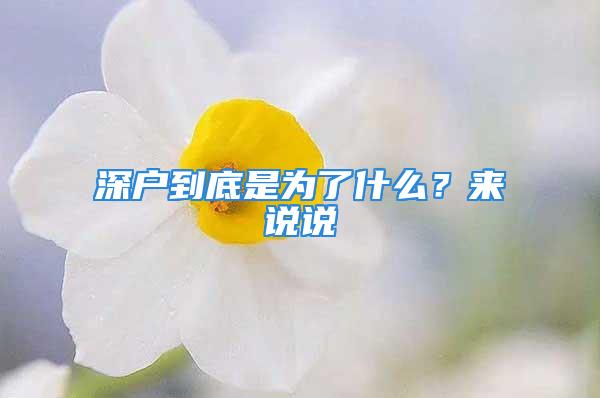 深戶到底是為了什么？來說說