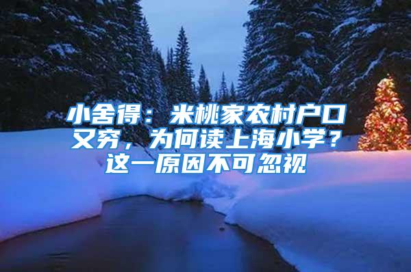 小舍得：米桃家農(nóng)村戶口又窮，為何讀上海小學(xué)？這一原因不可忽視