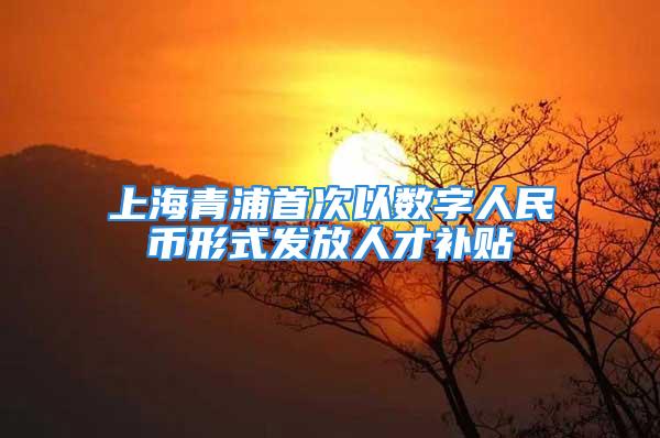 上海青浦首次以數(shù)字人民幣形式發(fā)放人才補貼