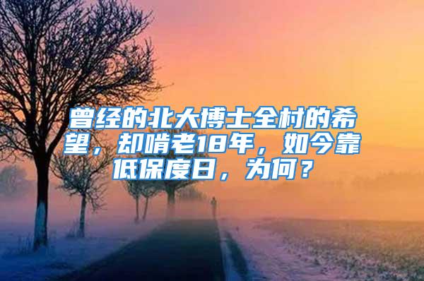 曾經(jīng)的北大博士全村的希望，卻啃老18年，如今靠低保度日，為何？