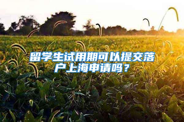 留學(xué)生試用期可以提交落戶上海申請嗎？