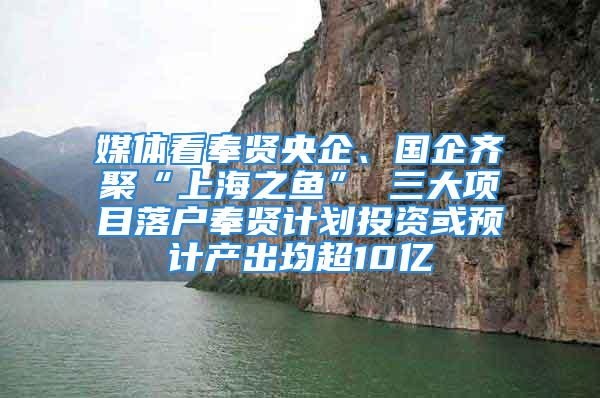 媒體看奉賢央企、國企齊聚“上海之魚” 三大項目落戶奉賢計劃投資或預計產出均超10億