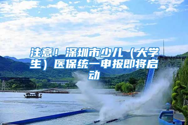 注意！深圳市少兒（大學生）醫(yī)保統(tǒng)一申報即將啟動