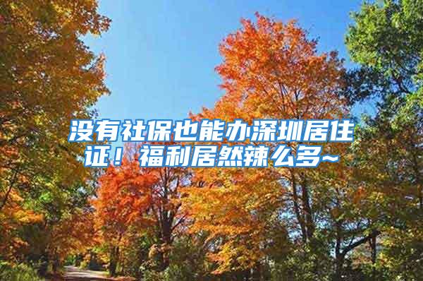 沒(méi)有社保也能辦深圳居住證！福利居然辣么多~