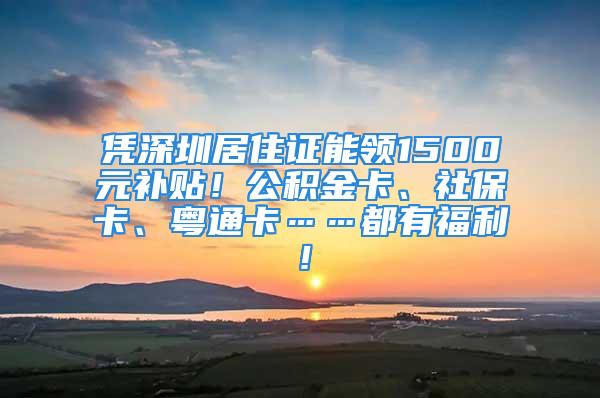 憑深圳居住證能領(lǐng)1500元補貼！公積金卡、社?？?、粵通卡……都有福利！