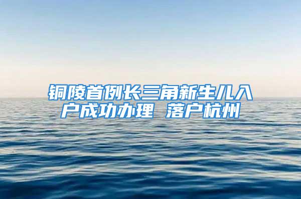 銅陵首例長(zhǎng)三角新生兒入戶成功辦理 落戶杭州