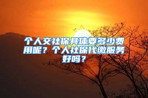 個(gè)人交社保具體要多少費(fèi)用呢？個(gè)人社保代繳服務(wù)好嗎？