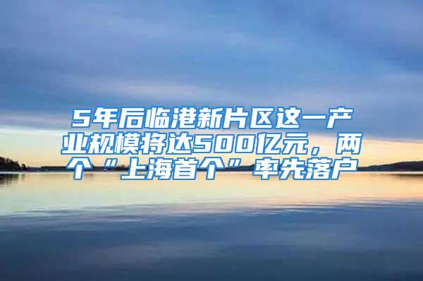 5年后臨港新片區(qū)這一產業(yè)規(guī)模將達500億元，兩個“上海首個”率先落戶