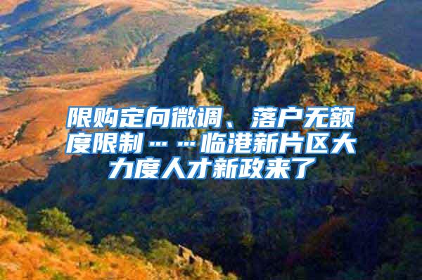 限購定向微調、落戶無額度限制……臨港新片區(qū)大力度人才新政來了