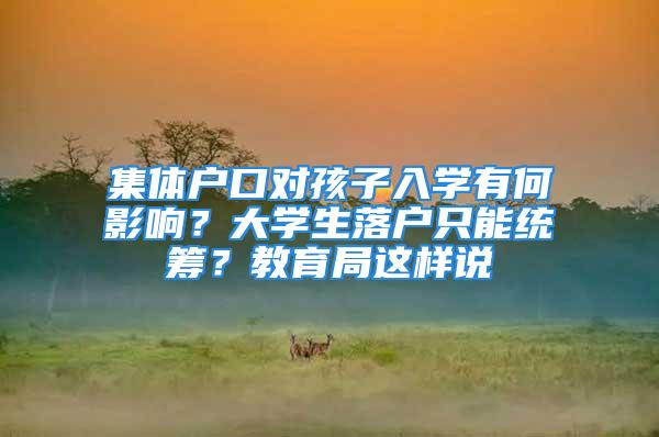 集體戶口對孩子入學(xué)有何影響？大學(xué)生落戶只能統(tǒng)籌？教育局這樣說