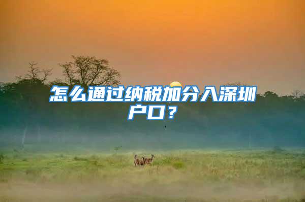 怎么通過納稅加分入深圳戶口？