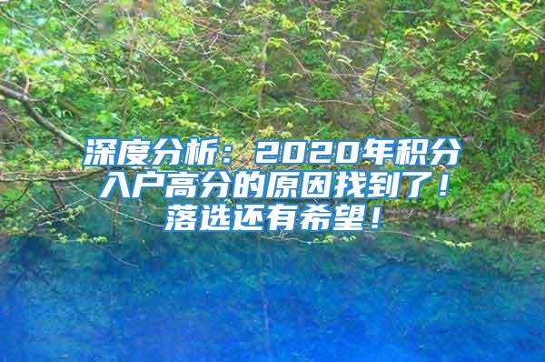 深度分析：2020年積分入戶高分的原因找到了！落選還有希望！