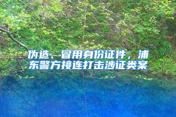 偽造、冒用身份證件，浦東警方接連打擊涉證類(lèi)案