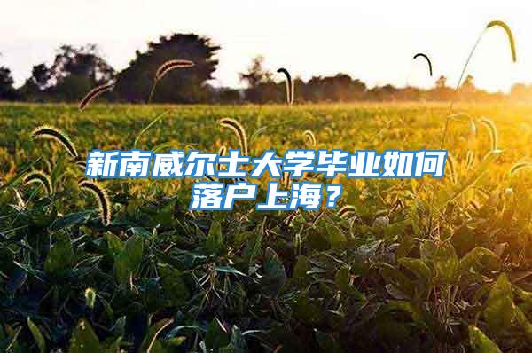 新南威爾士大學畢業(yè)如何落戶上海？