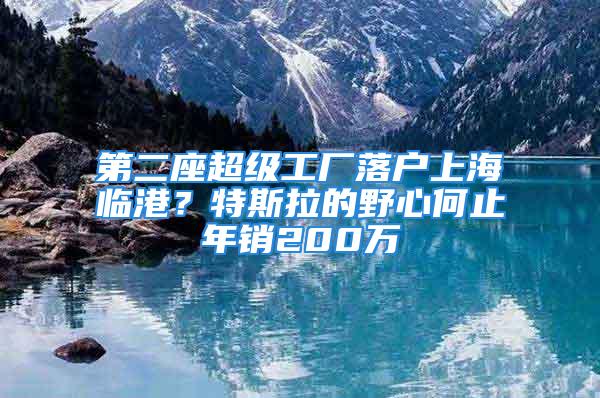 第二座超級工廠落戶上海臨港？特斯拉的野心何止年銷200萬