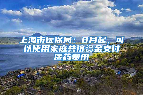 上海市醫(yī)保局：8月起，可以使用家庭共濟(jì)資金支付醫(yī)藥費(fèi)用