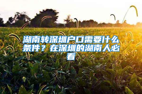 湖南轉(zhuǎn)深圳戶口需要什么條件？在深圳的湖南人必看