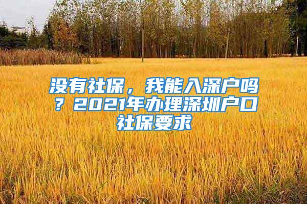 沒有社保，我能入深戶嗎？2021年辦理深圳戶口社保要求