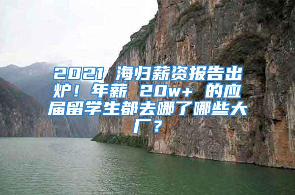 2021 海歸薪資報告出爐！年薪 20w+ 的應(yīng)屆留學(xué)生都去哪了哪些大廠？