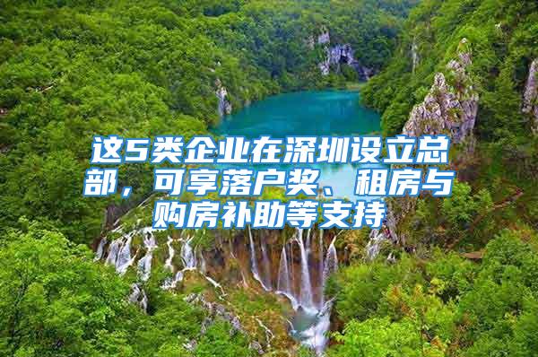 這5類企業(yè)在深圳設(shè)立總部，可享落戶獎(jiǎng)、租房與購房補(bǔ)助等支持