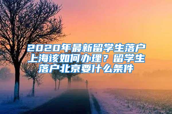 2020年最新留學(xué)生落戶上海該如何辦理？留學(xué)生落戶北京要什么條件