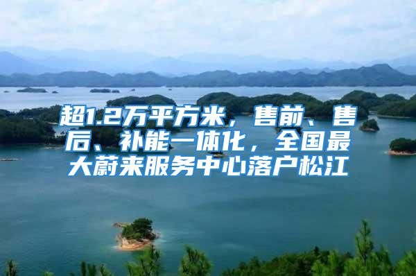 超1.2萬(wàn)平方米，售前、售后、補(bǔ)能一體化，全國(guó)最大蔚來(lái)服務(wù)中心落戶松江