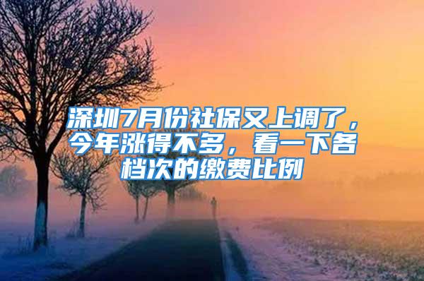 深圳7月份社保又上調(diào)了，今年漲得不多，看一下各檔次的繳費比例