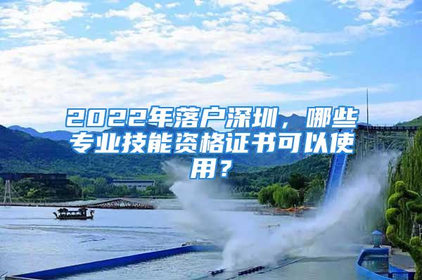 2022年落戶深圳，哪些專業(yè)技能資格證書可以使用？