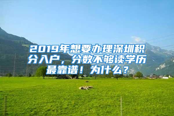 2019年想要辦理深圳積分入戶，分?jǐn)?shù)不夠讀學(xué)歷最靠譜！為什么？