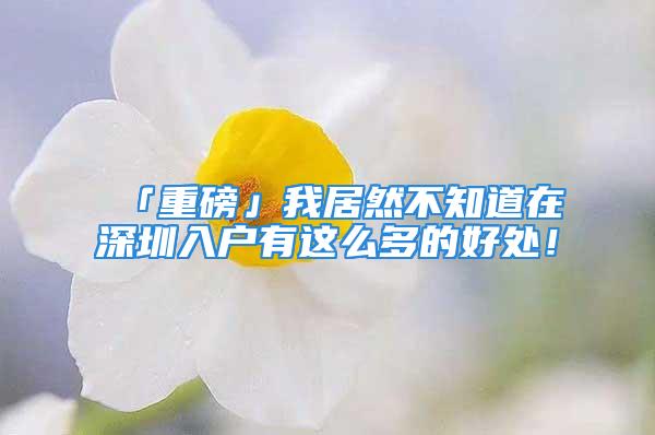 「重磅」我居然不知道在深圳入戶有這么多的好處！