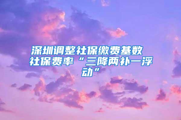 深圳調(diào)整社保繳費(fèi)基數(shù) 社保費(fèi)率“三降兩補(bǔ)一浮動”