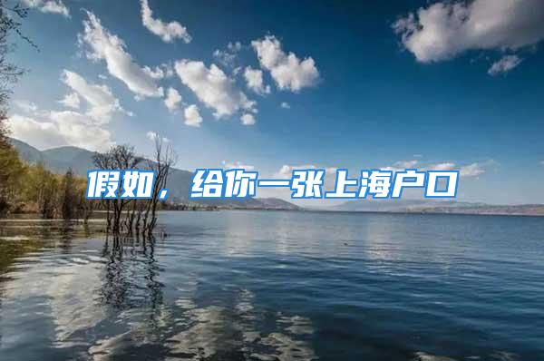 假如，給你一張上海戶(hù)口