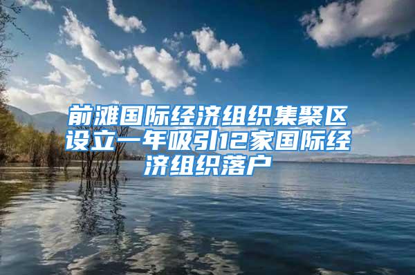 前灘國際經(jīng)濟(jì)組織集聚區(qū)設(shè)立一年吸引12家國際經(jīng)濟(jì)組織落戶