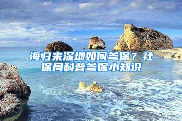 海歸來深圳如何參保？社保局科普參保小知識