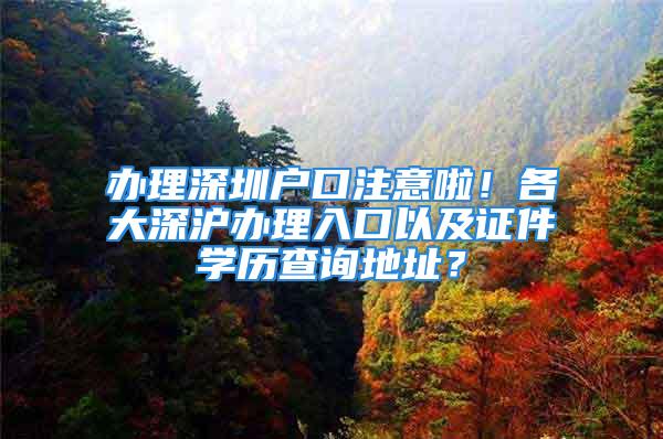 辦理深圳戶口注意啦！各大深滬辦理入口以及證件學(xué)歷查詢地址？